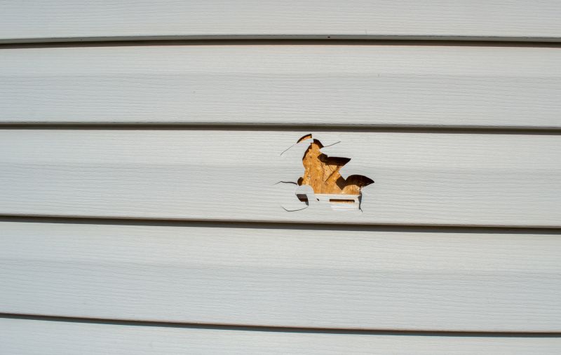 Vinyl Siding Repair Image 17