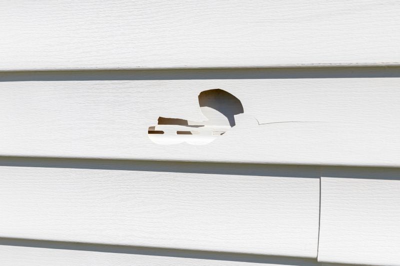 Vinyl Siding Repair Image 14